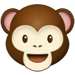 Cara de macaco