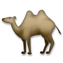 Camello bactriano