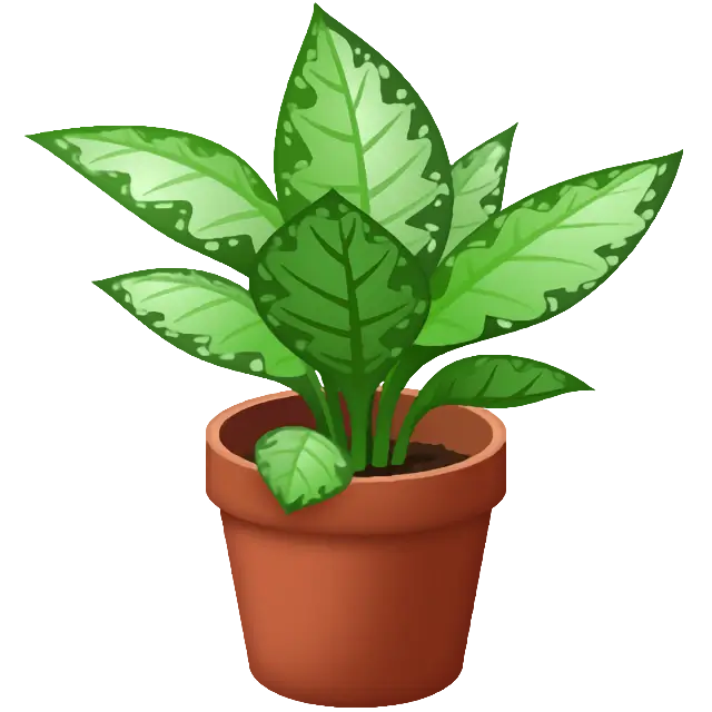 Potted Plant