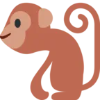 Scimmia