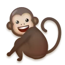 Scimmia
