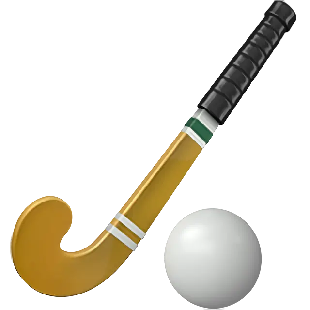 Field Hockey Stick și Ball