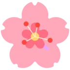 Kiraz çiçeği