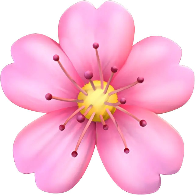 Цветок сакуры