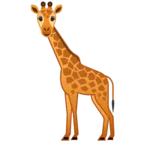 Visage girafe