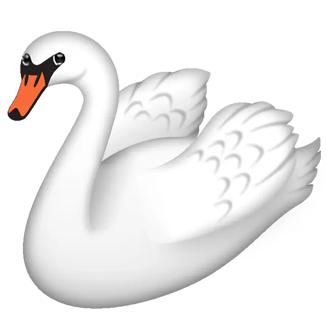 Swan