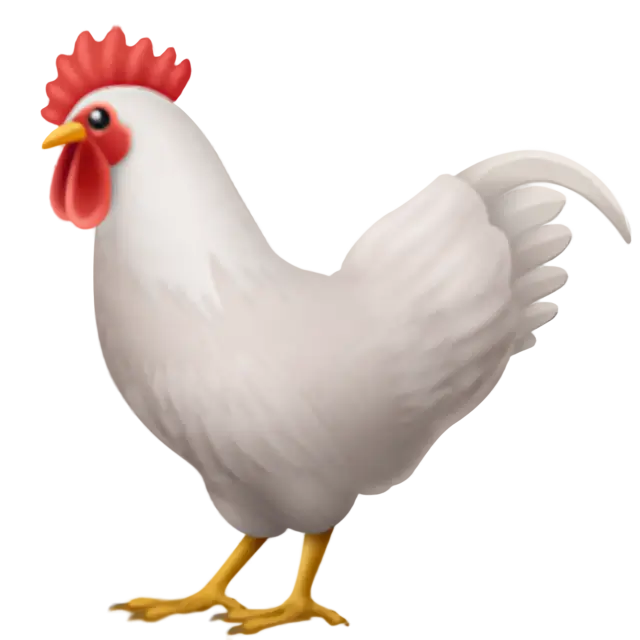 Coq