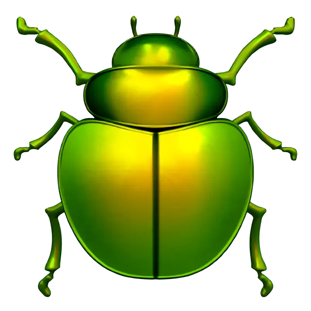 甲蟲