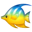 Poisson tropical