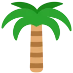 pálmafa