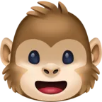 Cara de macaco