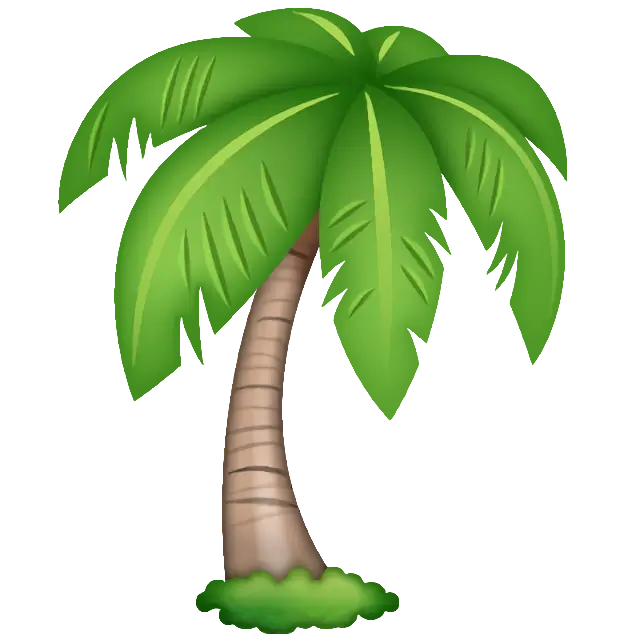 Palm Tree