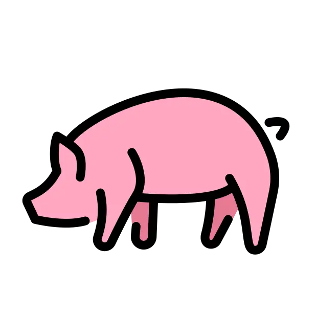 Pig