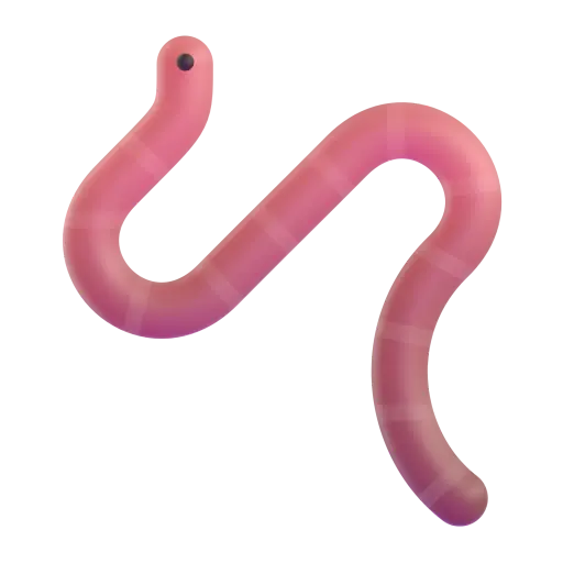 Worm