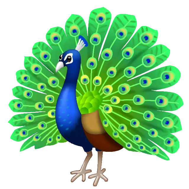 Peacock