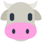 गाय का चेहरा