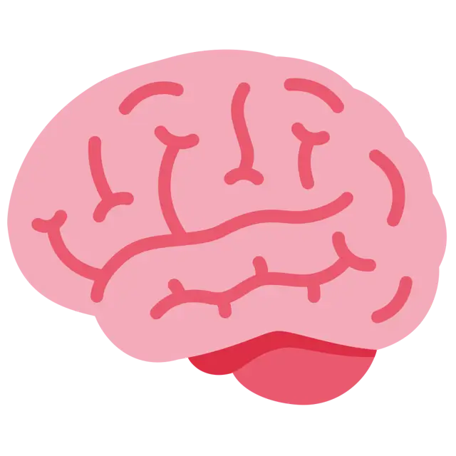 Brain