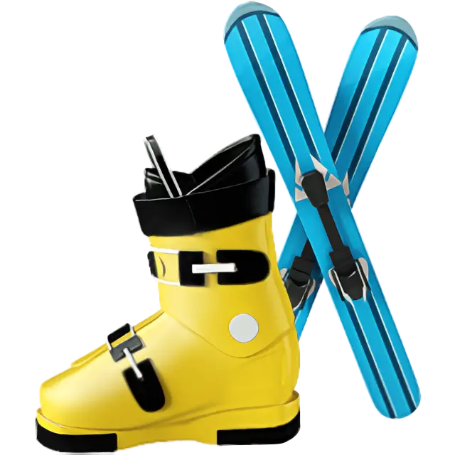 Ski și schiuri