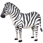 Zebra Yüz