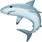 Shark