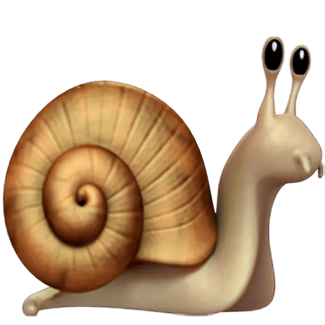 Snail