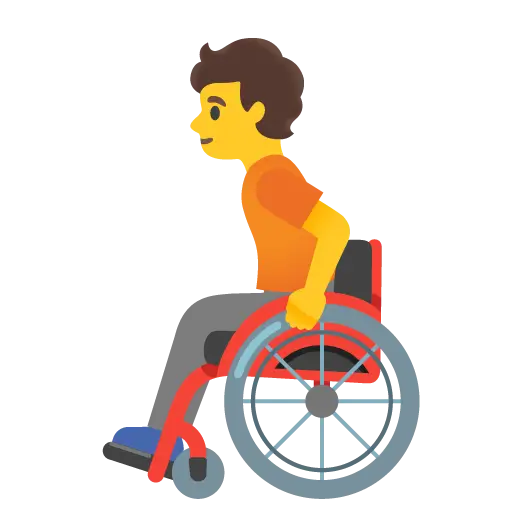 Person in Manual Wheelchair