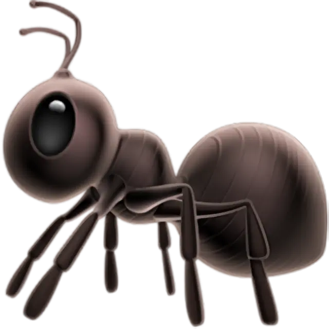 Ant