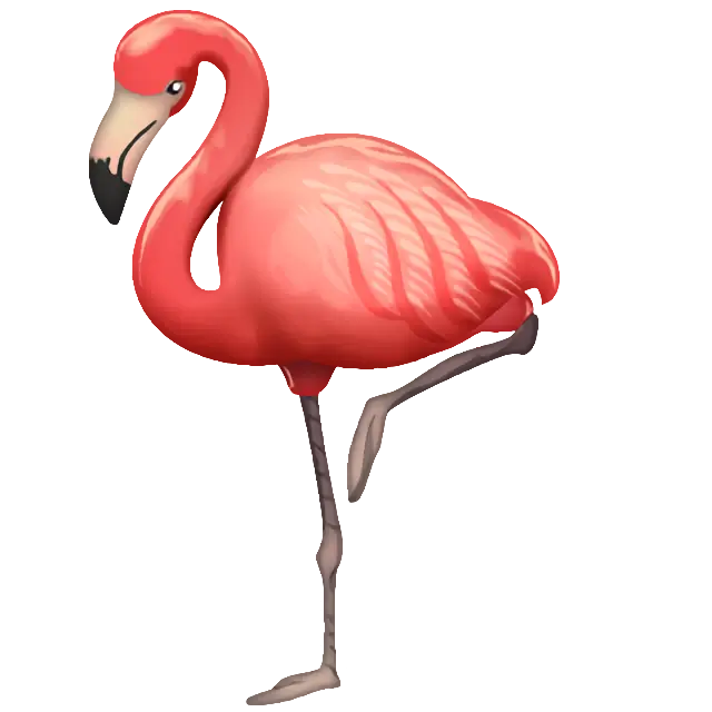 Flamingo