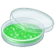 Petri Dish